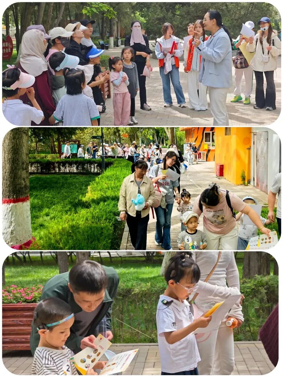 6.jpg 6.jpg